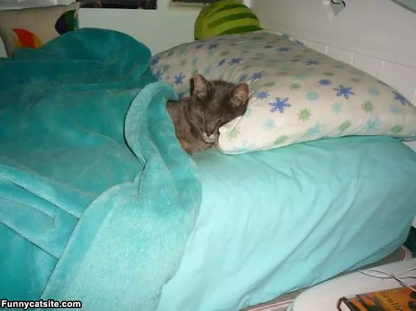 This Bed Is All Mine Now