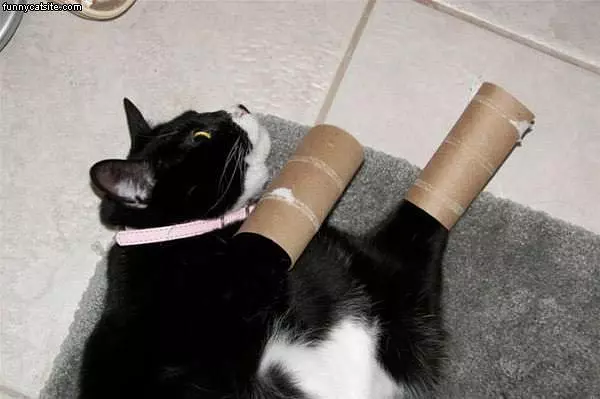 Toilet Roll Hands