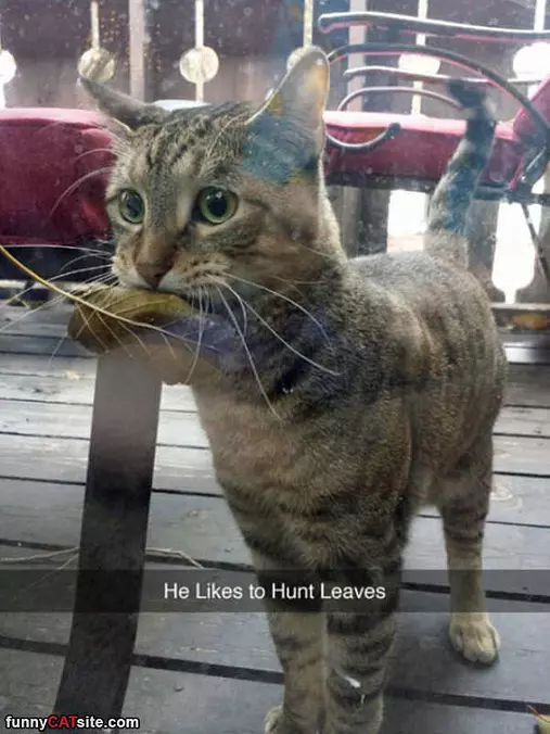 Great Hunter