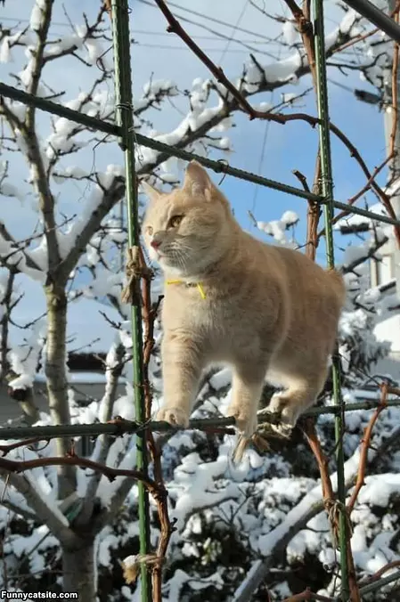 Very Good Balance