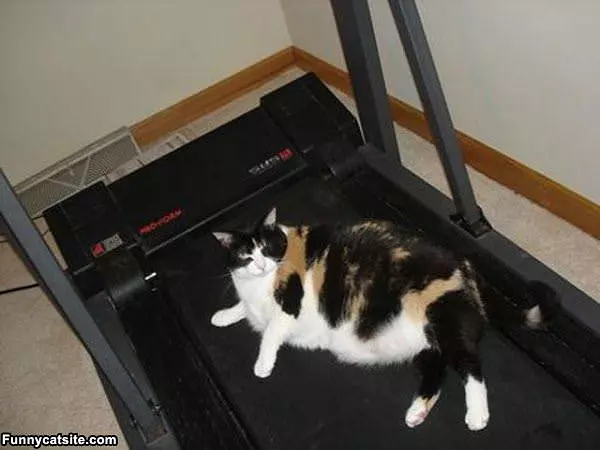 Nice Bed