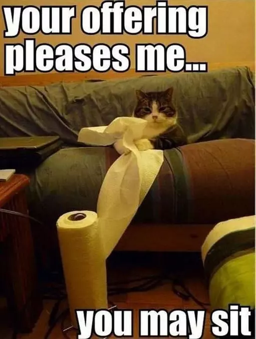 Your Offering Pleases Me