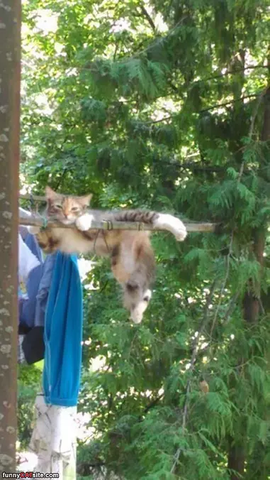 Hanging Out Up Here