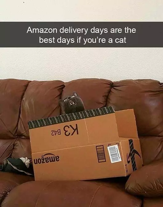 The Best Days