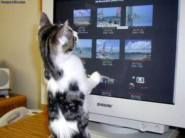 Internet Surfing