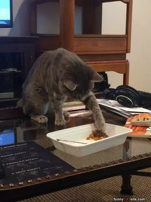 I Will Have Some
