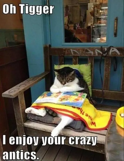 Oh Tigger