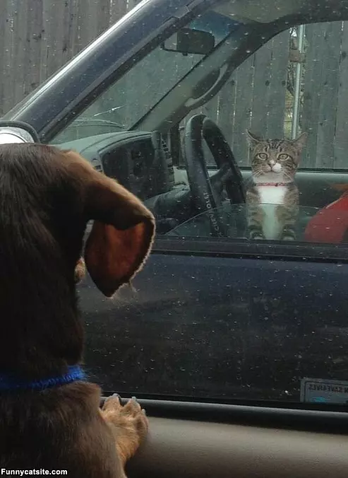 Nice To Meet You