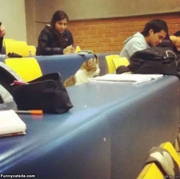 In Class
