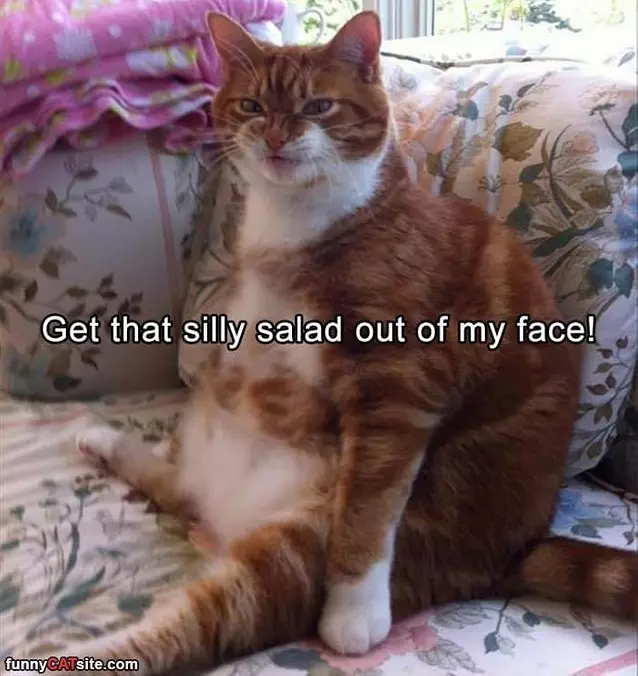 No Salad For Me