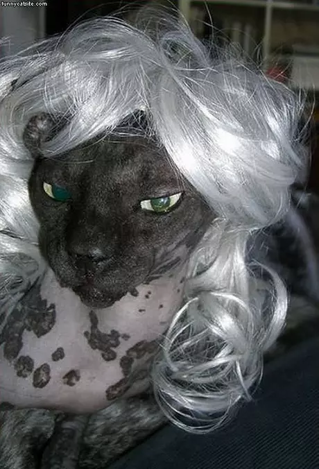 Great Wig