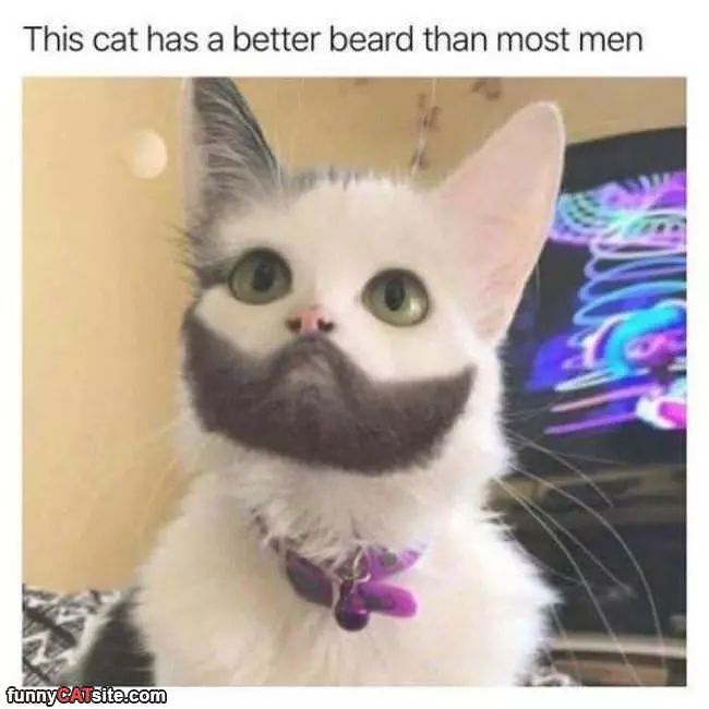 An Amazing Beard