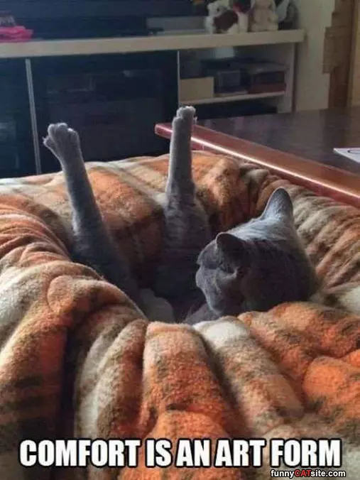 Comfort