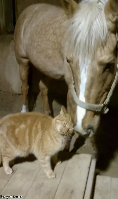 We Are Friends