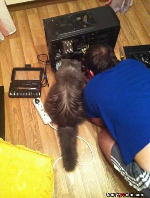 Let Me Help You Out