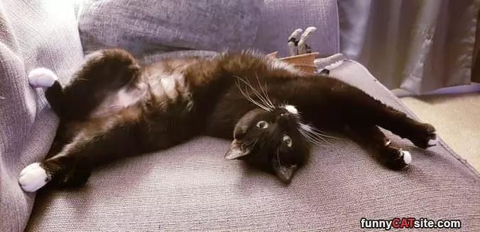 Stretch