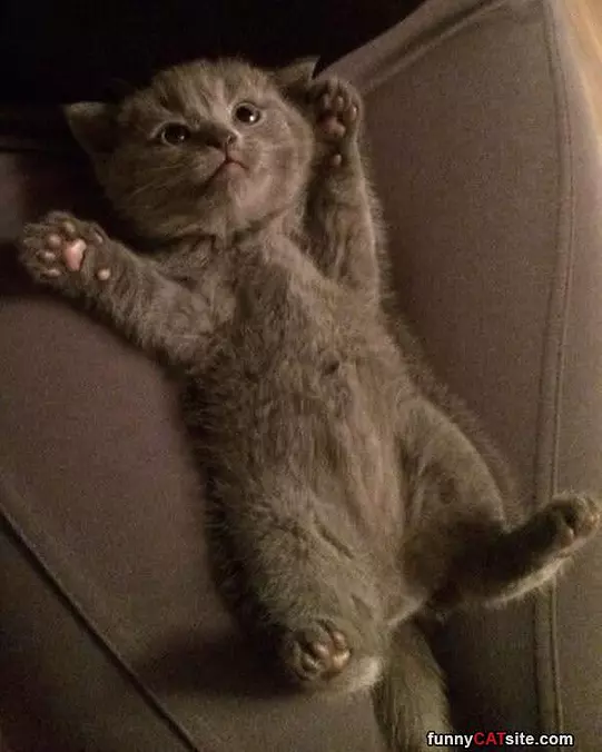 This Is So Comfy