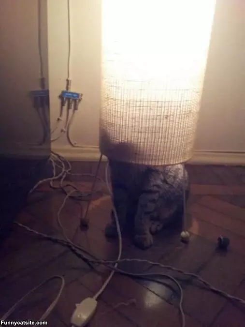 Cant See Me