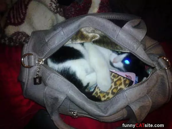 I Fits So I Sits