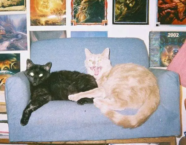 Leave Us Alone