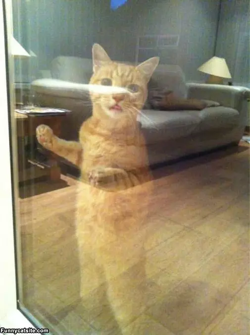 Whats Going On Out There