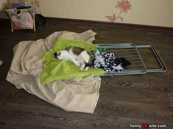 I Will Sleep Right Here