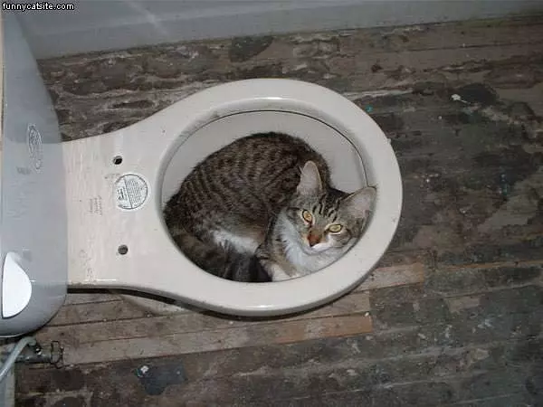 Nice Bed