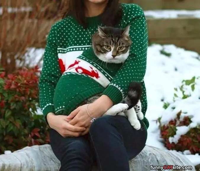 Matching Sweaters