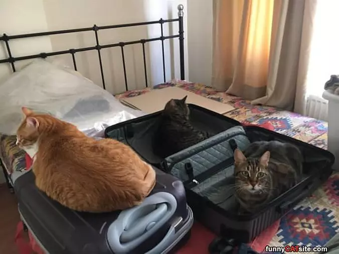 Going To Take Us With You