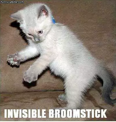 Broomstick