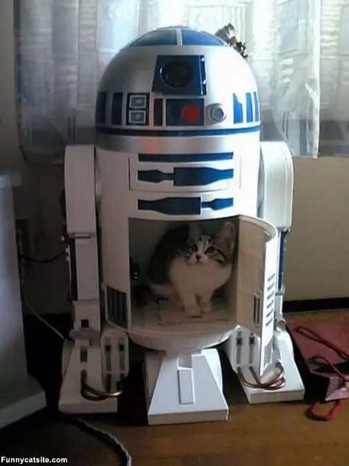 R2dcat
