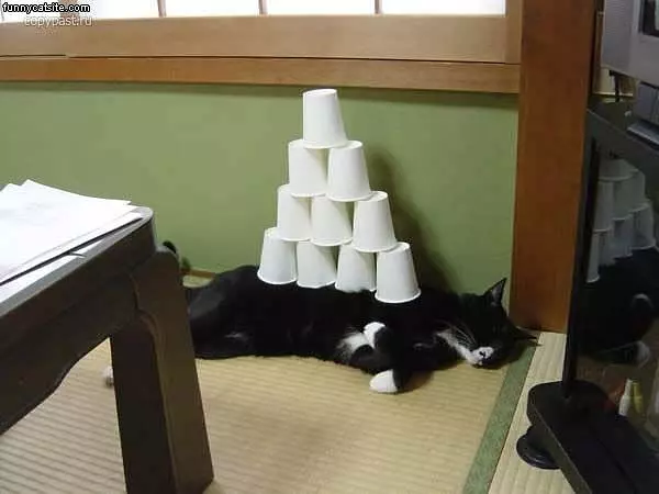 Cup Stack