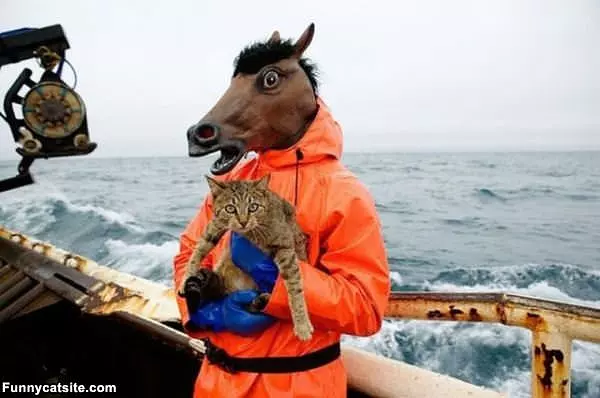 Me And The Horse
