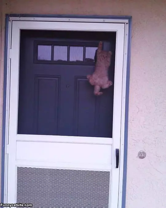 A Little Help Here