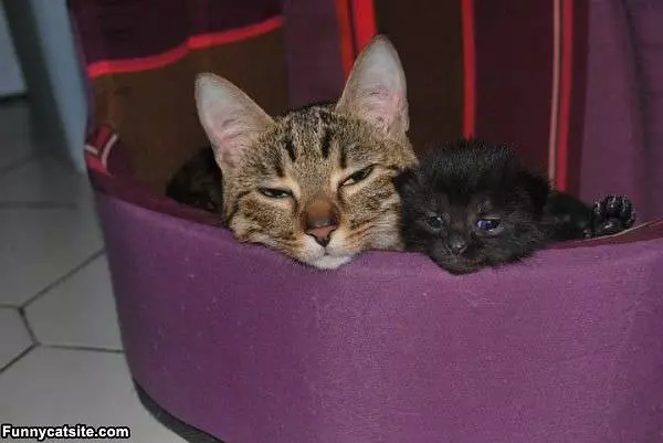 We Are Sleepy