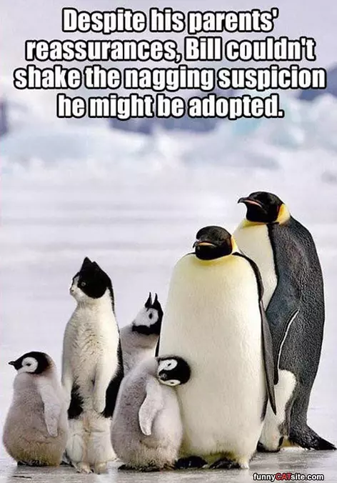 Adopted