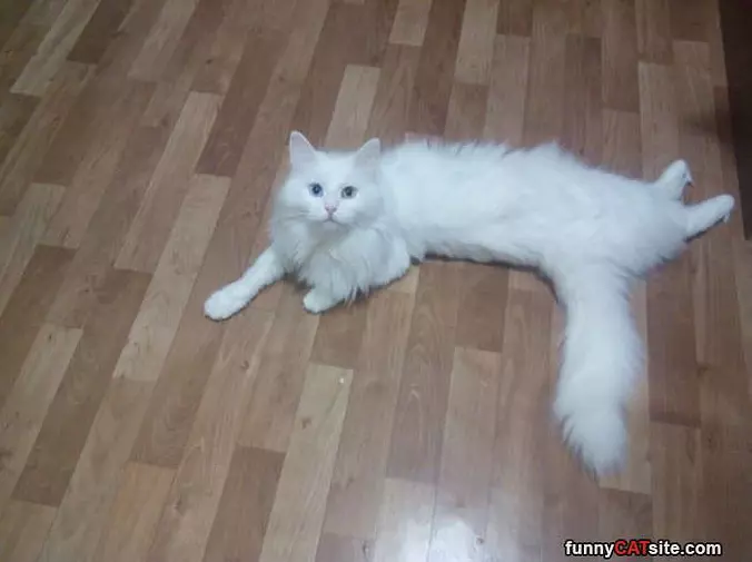 Just Relaxing Here