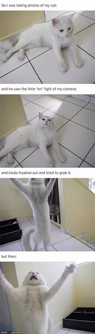 Give Me That Camera