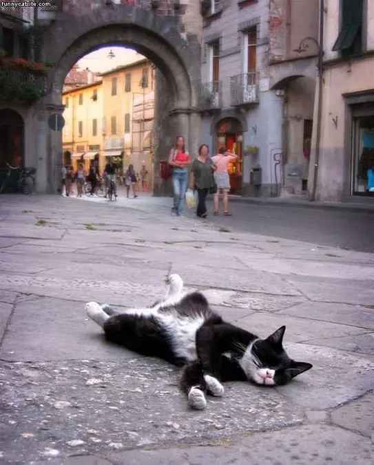 Its Nap Time