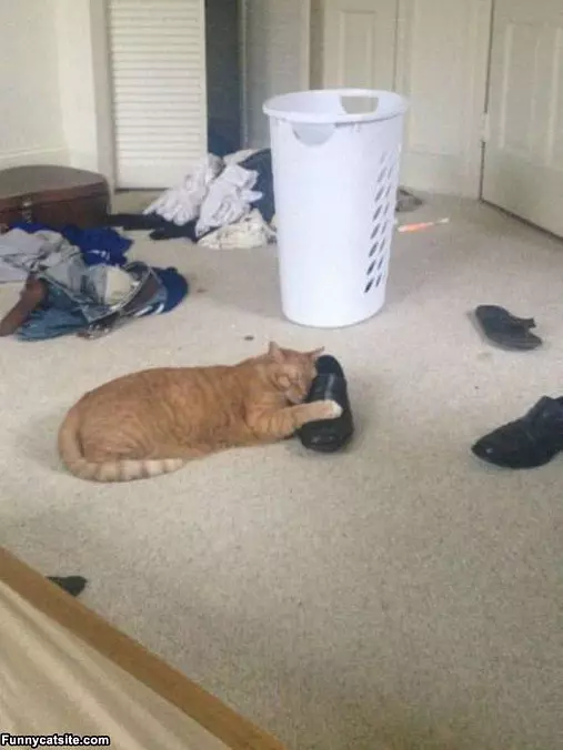 I Love You Shoe