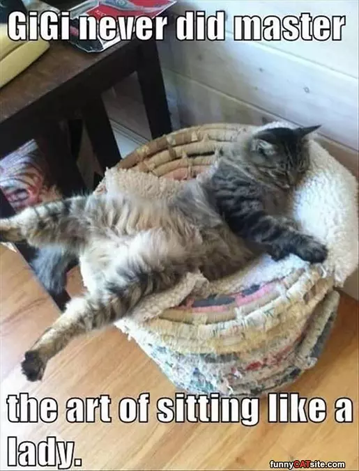 Sitting Like A Lady