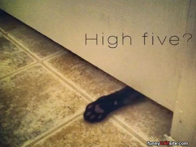 High Five