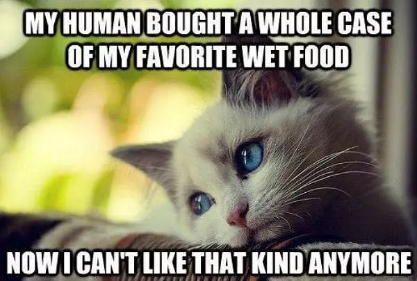 Favorite Food