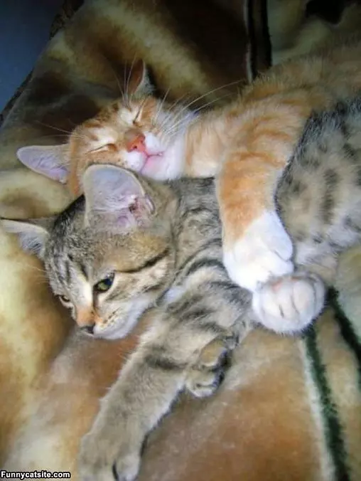 Hugging It Out
