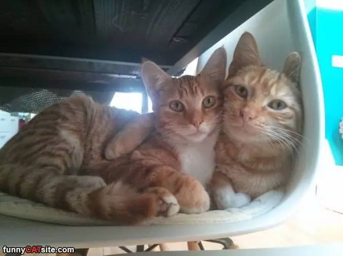 Hugging It Out