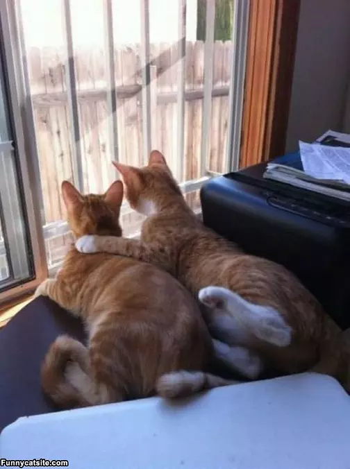 Look Out There
