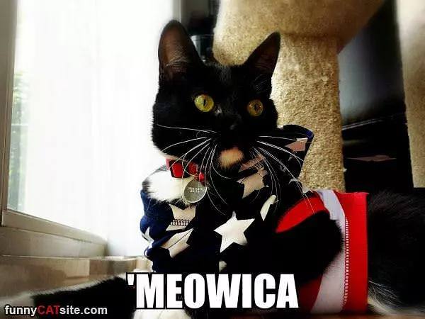 Meowica