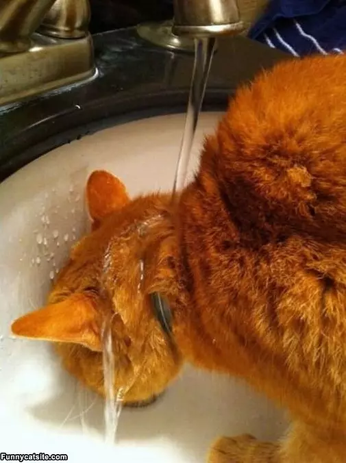 So Thirsty