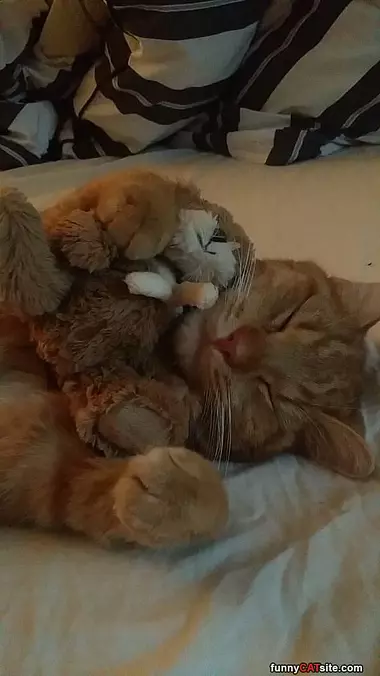 This Is My Sleepy Time