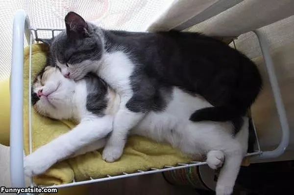 Keeping Warm